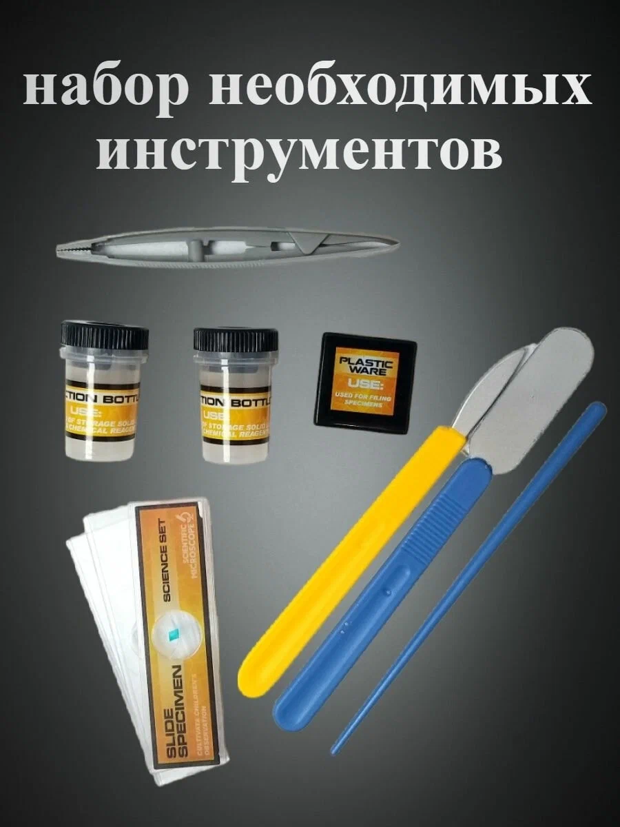Spa ProBrush